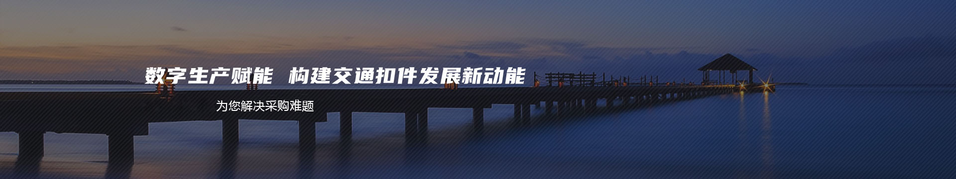 山东利蒙药业有限公司banner